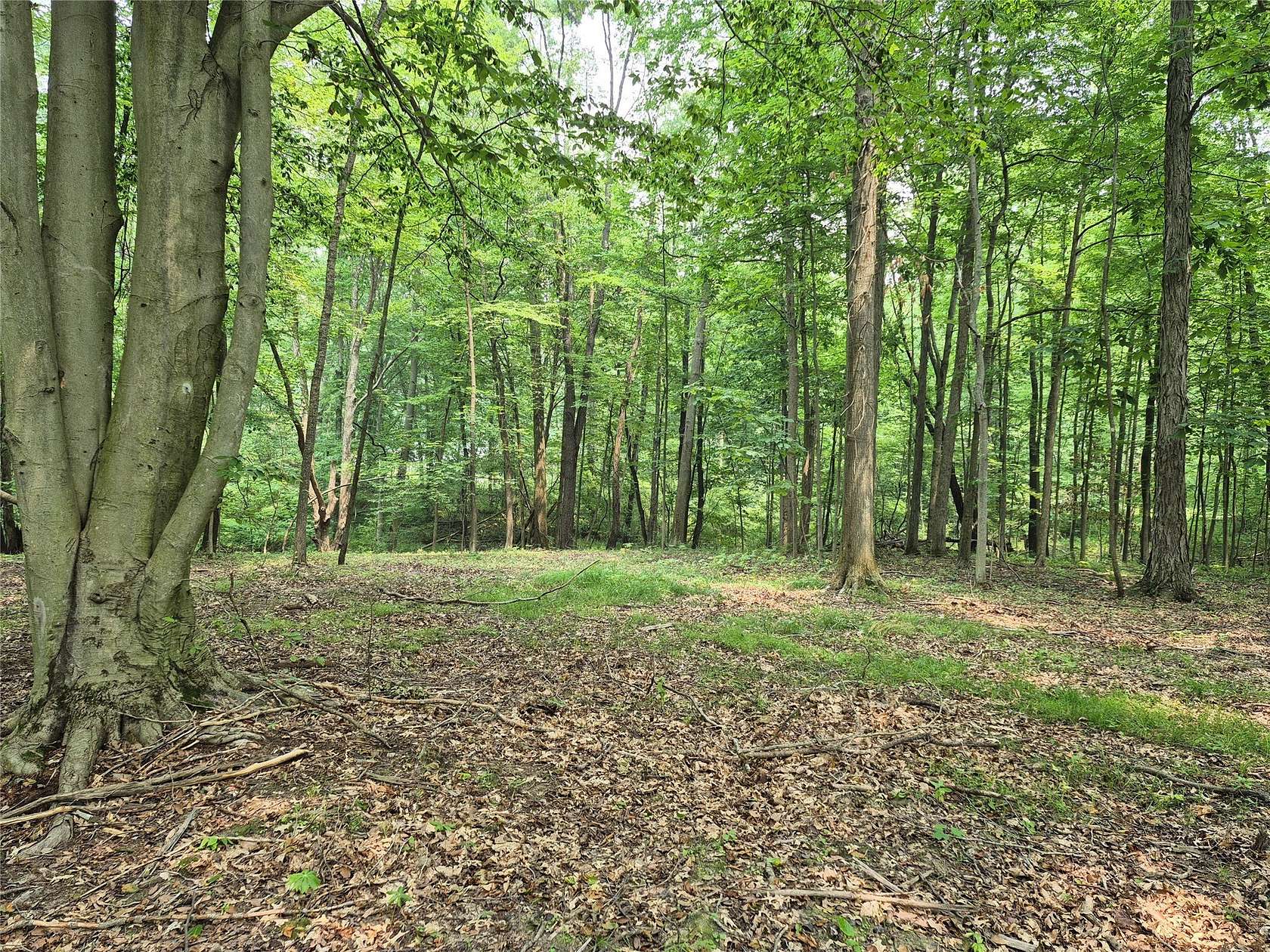 Residential Land for Sale in Conneaut Lake, Pennsylvania