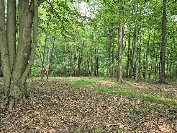 Residential Land for Sale in Conneaut Lake, Pennsylvania