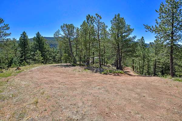25 Acres of Land for Sale in Divide, Colorado