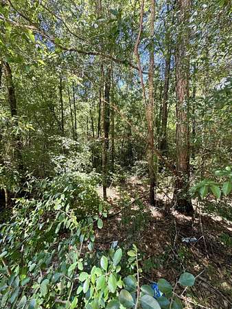3.5 Acres of Land for Sale in Andalusia, Alabama