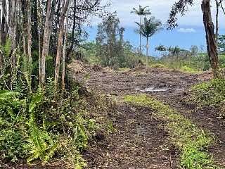 3 Acres of Residential Land for Sale in Kurtistown, Hawaii