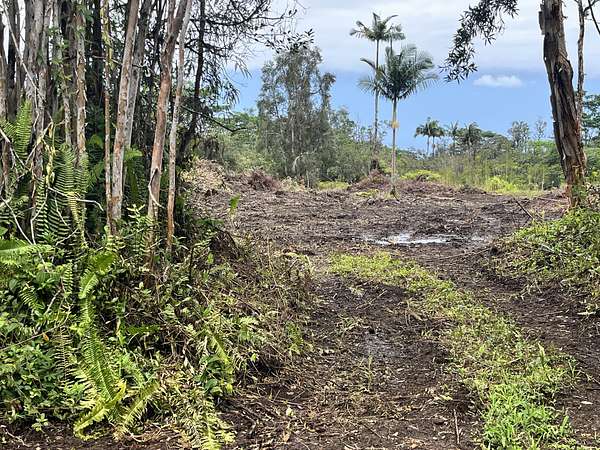 3 Acres of Residential Land for Sale in Kurtistown, Hawaii