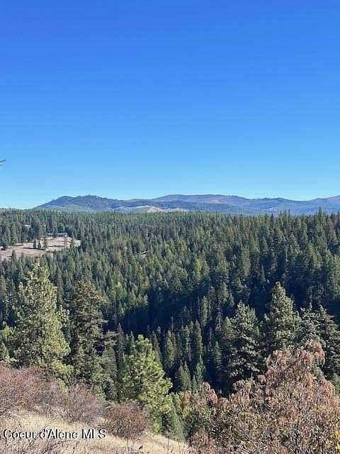 10 Acres of Recreational Land for Sale in St. Maries, Idaho