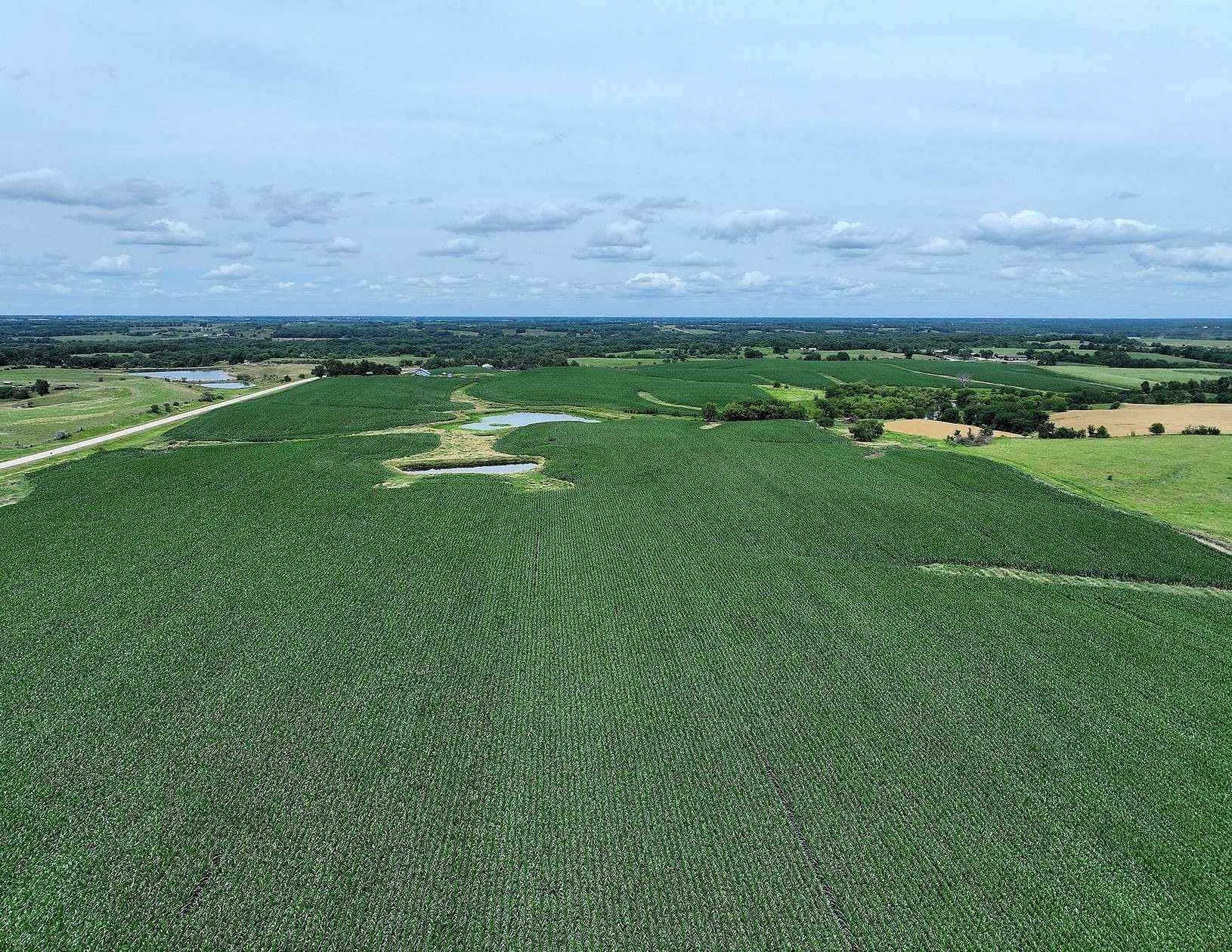 192 Acres of Land for Sale in Promise City, Iowa