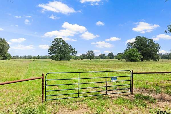 20 Acres of Land for Sale in Talco, Texas