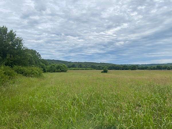 19.5 Acres of Land for Sale in Elkins, Arkansas