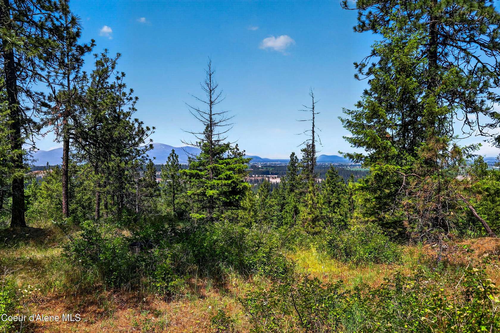 10 Acres of Residential Land for Sale in Coeur d'Alene, Idaho