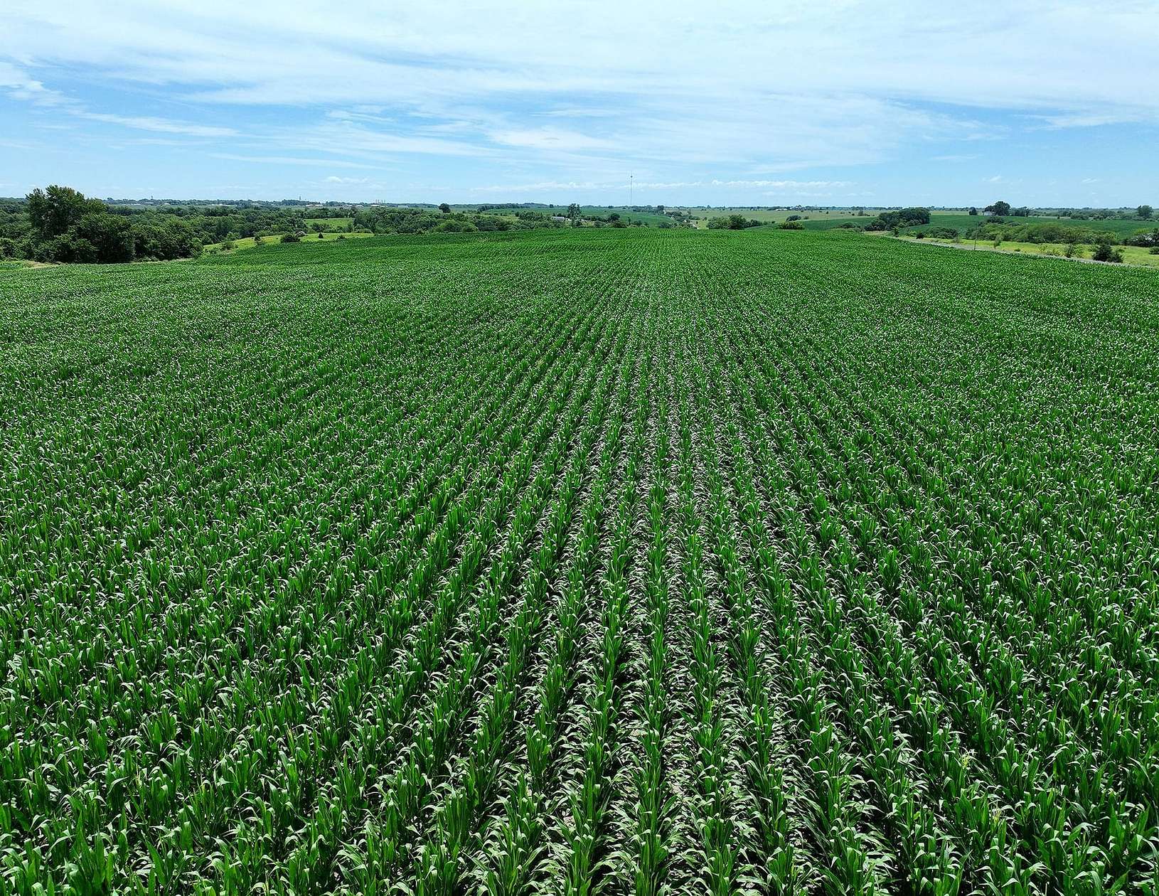 40 Acres of Land for Sale in Corydon, Iowa
