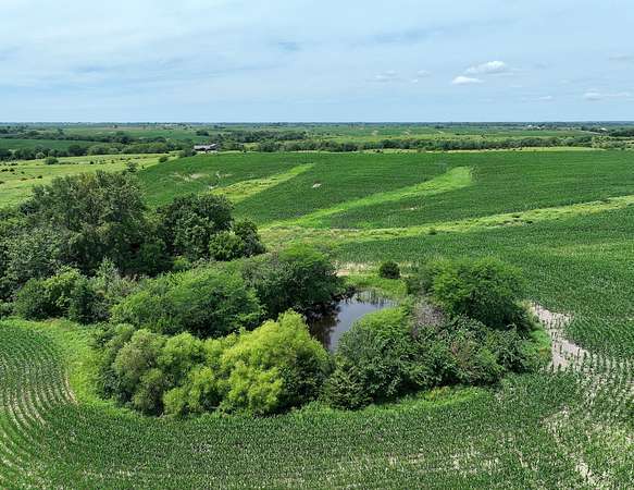 40 Acres of Agricultural Land for Sale in Corydon, Iowa
