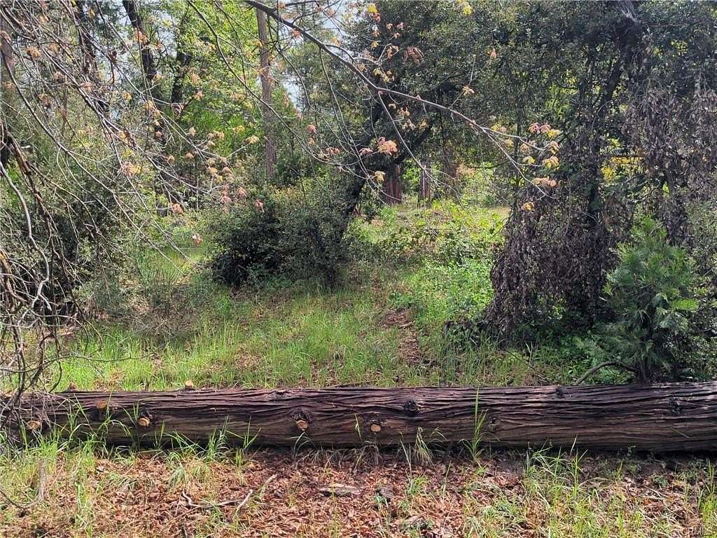 0.25 Acres of Residential Land for Sale in Bass Lake, California