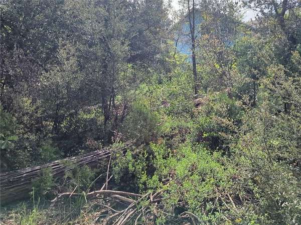 0.25 Acres of Residential Land for Sale in Bass Lake, California