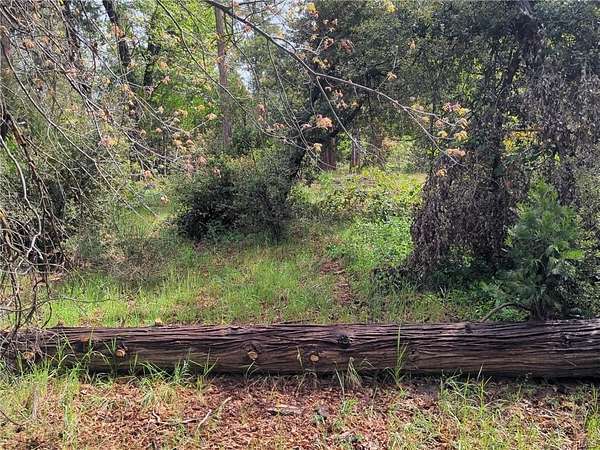 0.25 Acres of Residential Land for Sale in Bass Lake, California