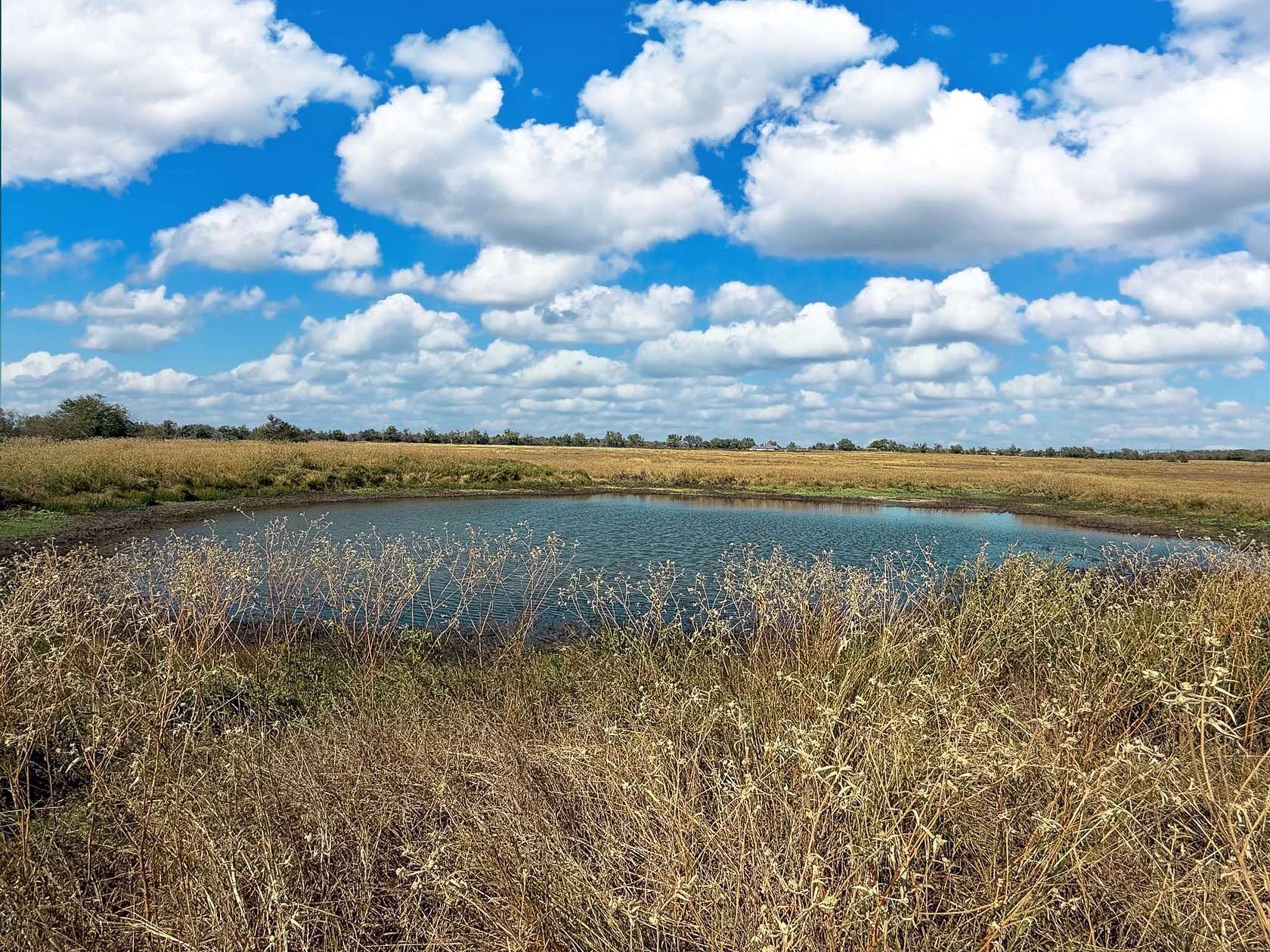 20.4 Acres of Agricultural Land for Sale in Kosse, Texas