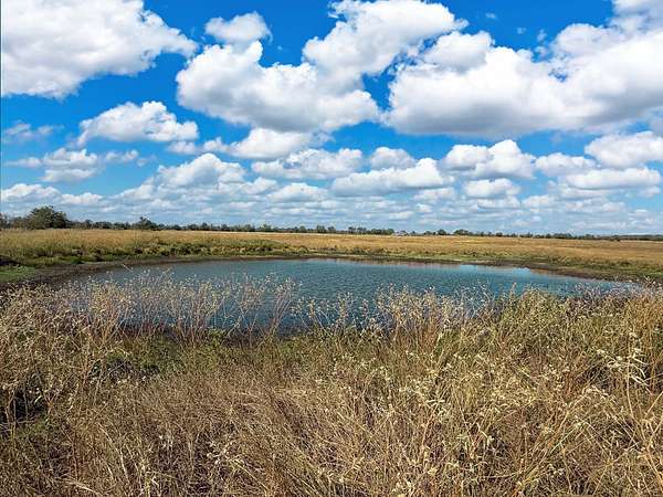 20.4 Acres of Agricultural Land for Sale in Kosse, Texas