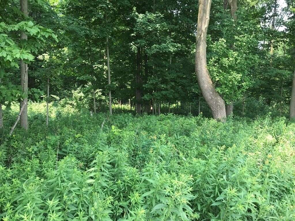 10 Acres of Residential Land for Sale in Athens, Wisconsin