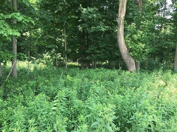 10 Acres of Residential Land for Sale in Athens, Wisconsin