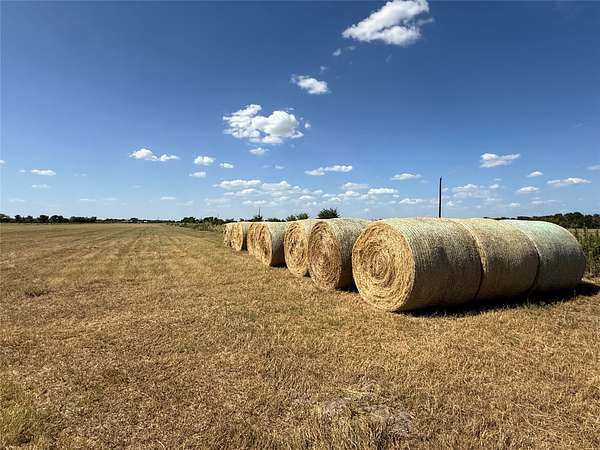 10 Acres of Agricultural Land for Sale in Kosse, Texas