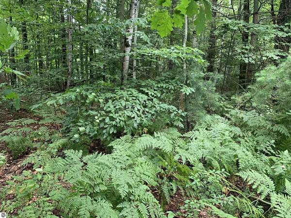 0.36 Acres of Land for Sale in Kalkaska, Michigan