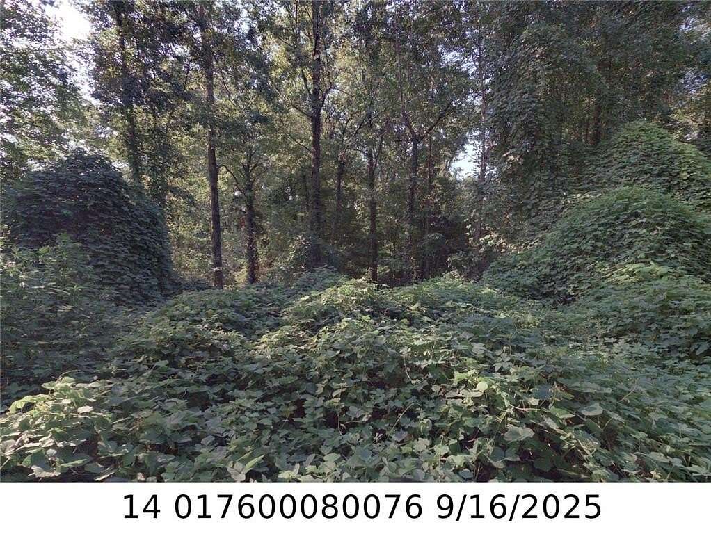 0.9 Acres of Residential Land for Sale in Atlanta, Georgia