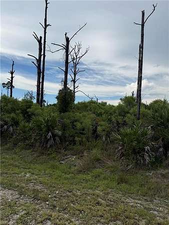 2.5 Acres of Land for Sale in Naples, Florida