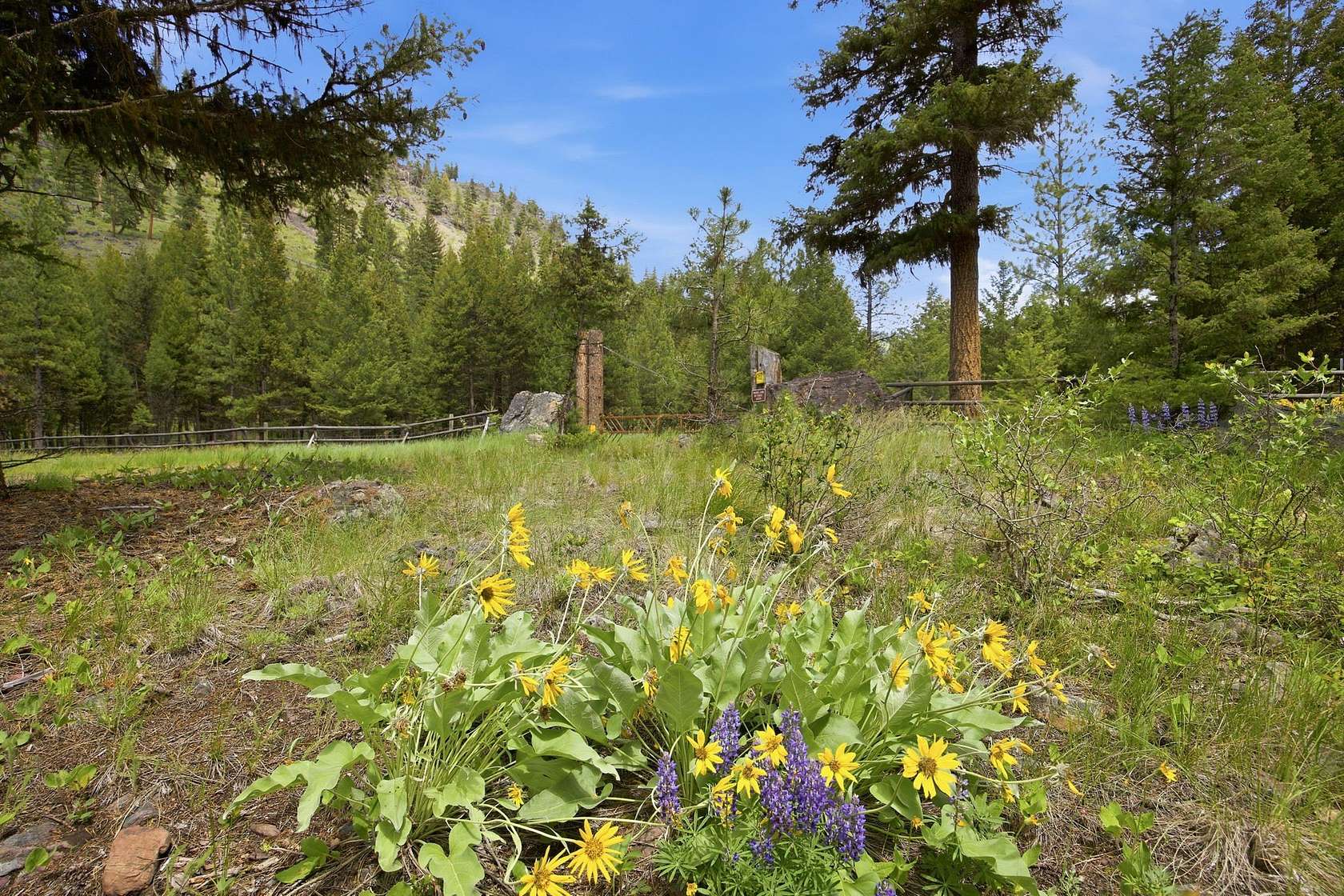 67.5 Acres of Recreational & Residential Land for Sale in Seeley Lake, Montana