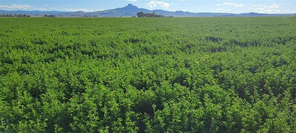 278 Acres of Land for Sale in Powell, Wyoming