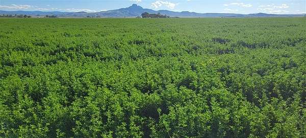278 Acres of Land for Sale in Powell, Wyoming