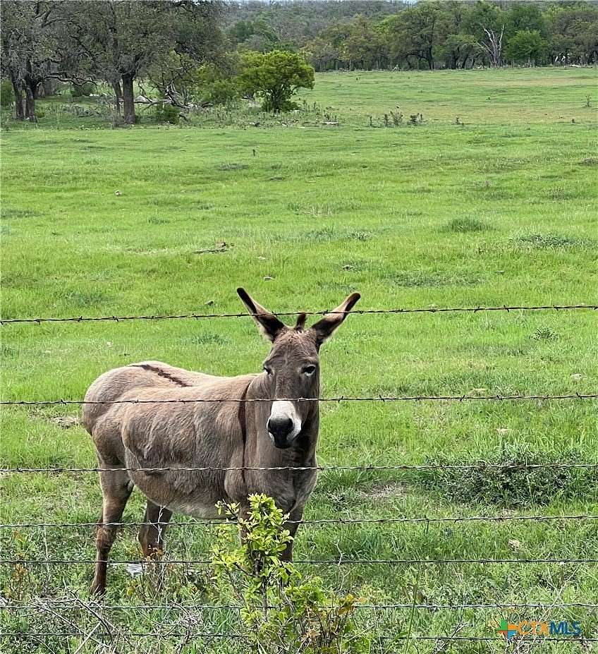 2.5 Acres of Residential Land for Sale in Fredericksburg, Texas