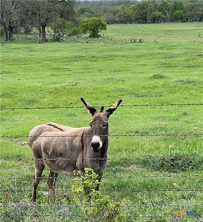 2.5 Acres of Residential Land for Sale in Fredericksburg, Texas