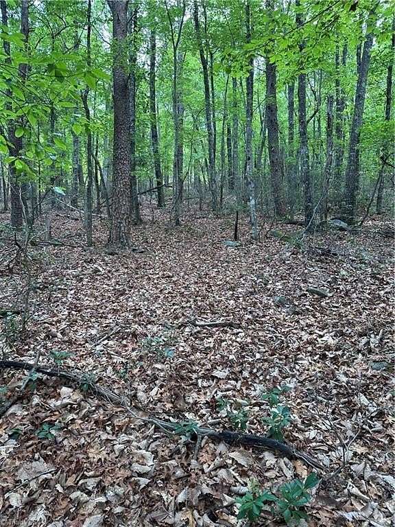 0.69 Acres of Residential Land for Sale in Danbury, North Carolina