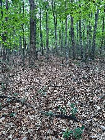 0.69 Acres of Residential Land for Sale in Danbury, North Carolina