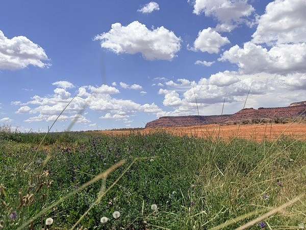 95 Acres of Agricultural Land for Sale in Kanab, Utah