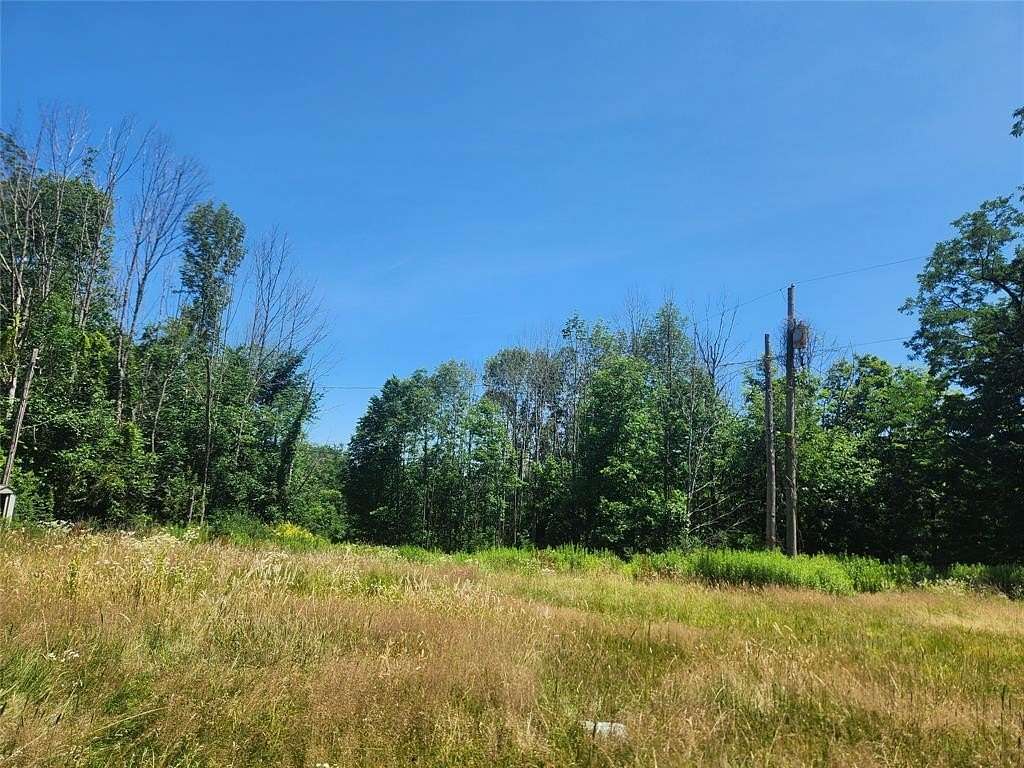 7.4 Acres of Residential Land for Sale in Windsor, New York