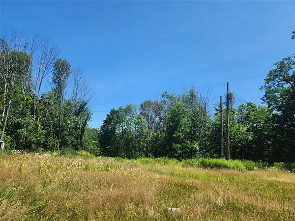 7.4 Acres of Residential Land for Sale in Windsor, New York