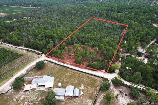 5 Acres of Land for Sale in Dunnellon, Florida