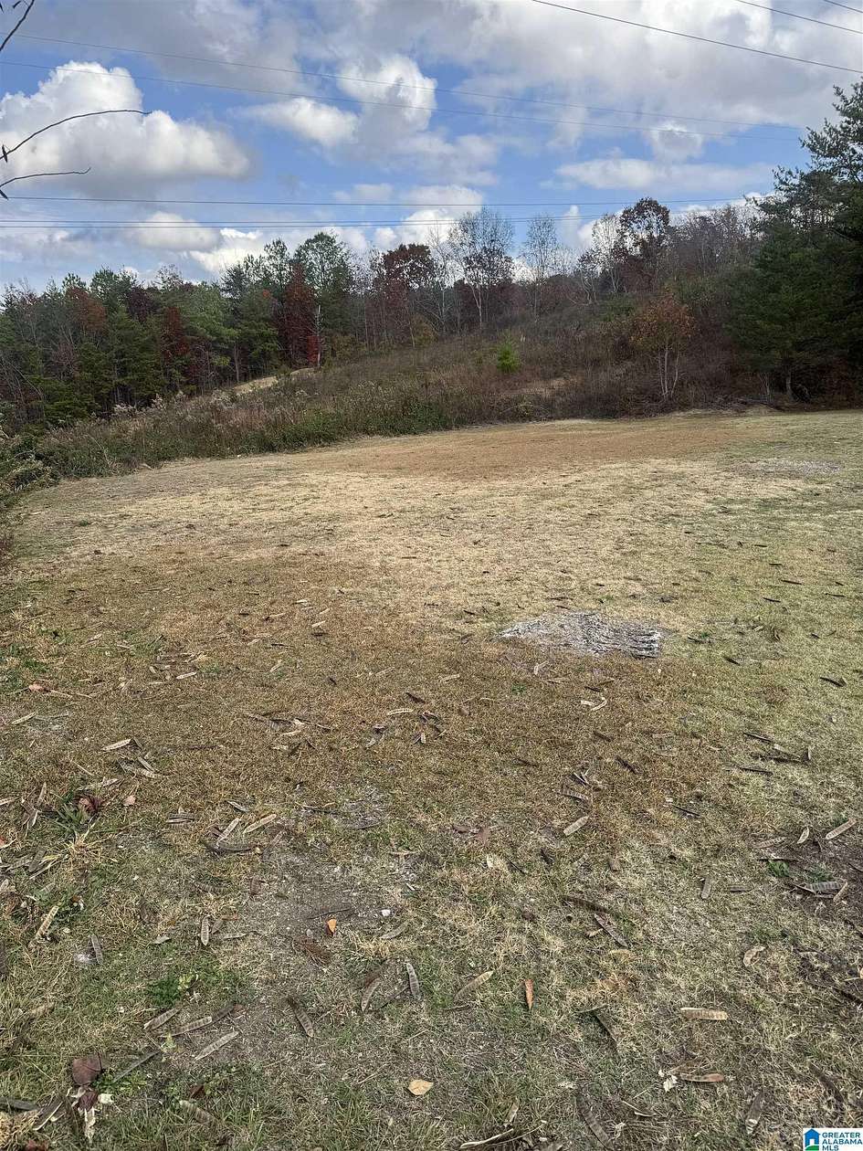 0.35 Acres of Residential Land for Sale in Mount Olive, Alabama
