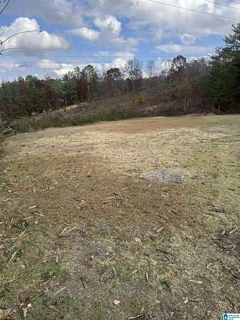 0.35 Acres of Residential Land for Sale in Mount Olive, Alabama