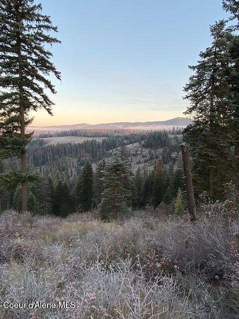 10 Acres of Recreational Land for Sale in St. Maries, Idaho