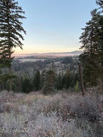 10 Acres of Recreational Land for Sale in St. Maries, Idaho