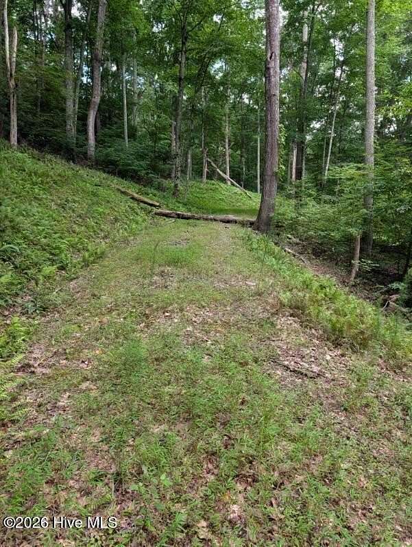 2.2 Acres of Residential Land for Sale in Blairsville, Georgia