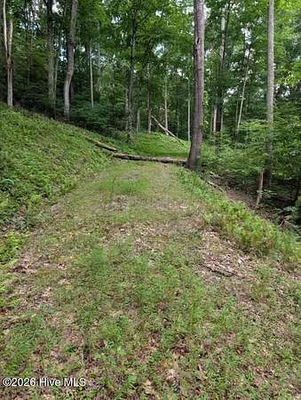 2.2 Acres of Residential Land for Sale in Blairsville, Georgia