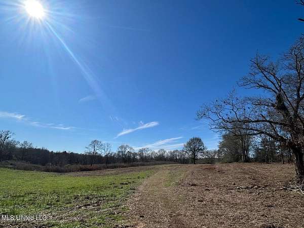 9.8 Acres of Residential Land for Sale in McComb, Mississippi