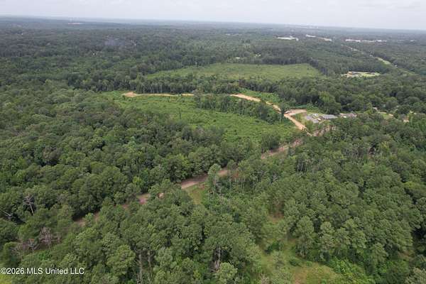 105 Acres of Recreational & Residential Land for Sale in Hazlehurst, Mississippi