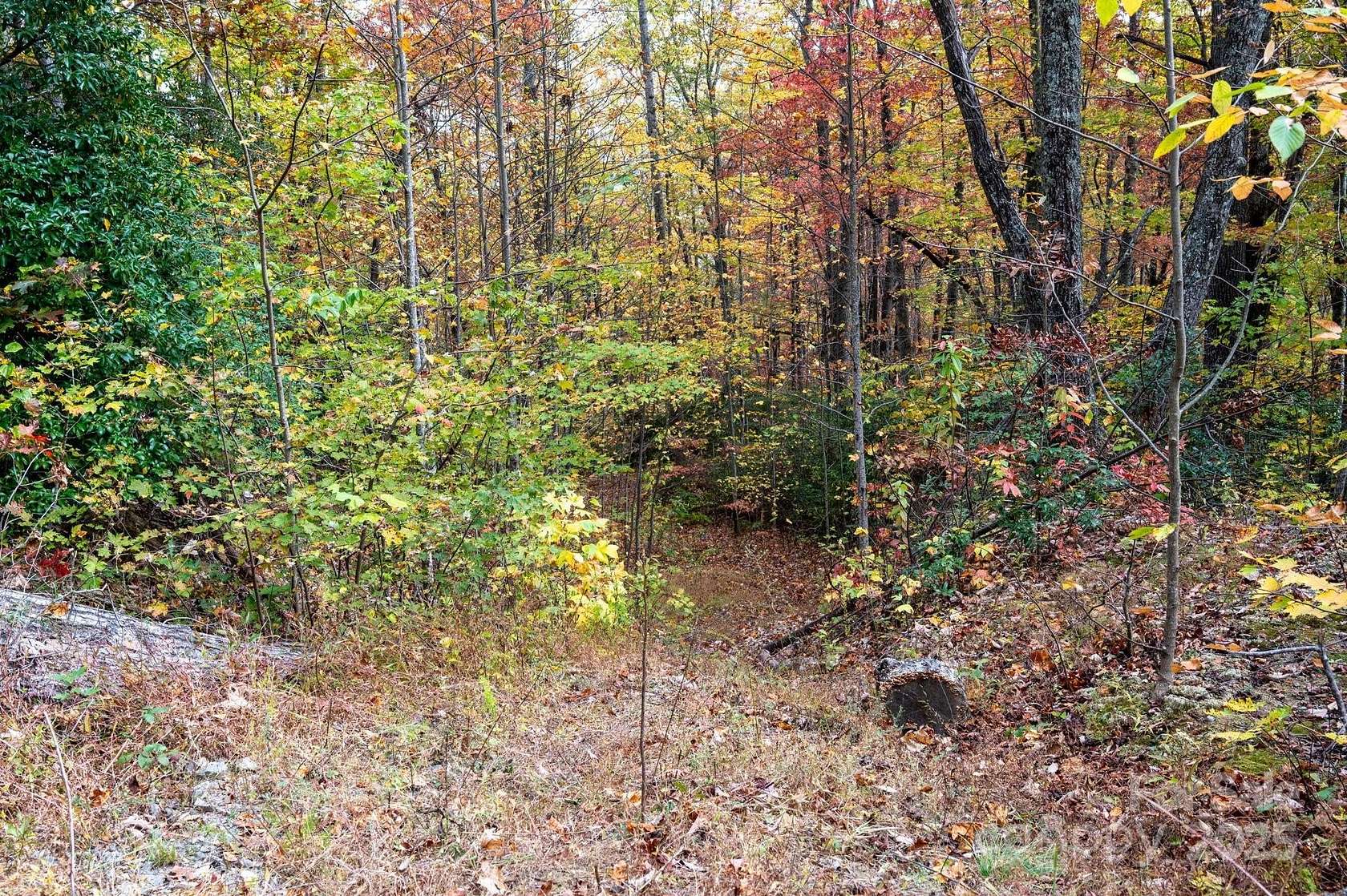 5 Acres of Land for Sale in Black Mountain, North Carolina