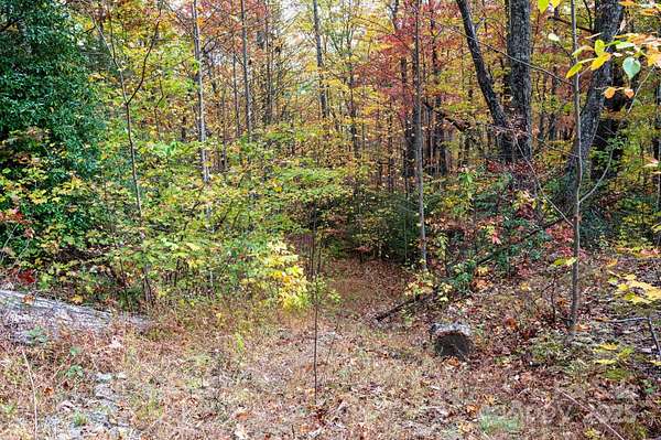 5 Acres of Land for Sale in Black Mountain, North Carolina