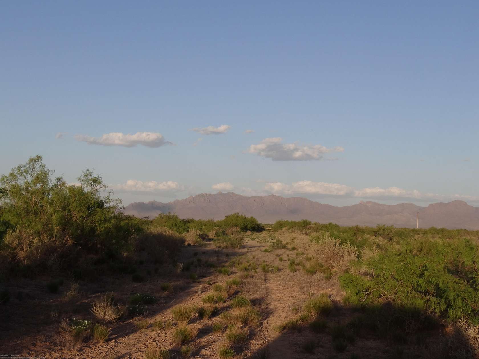 0.5 Acres of Residential Land for Sale in Deming, New Mexico