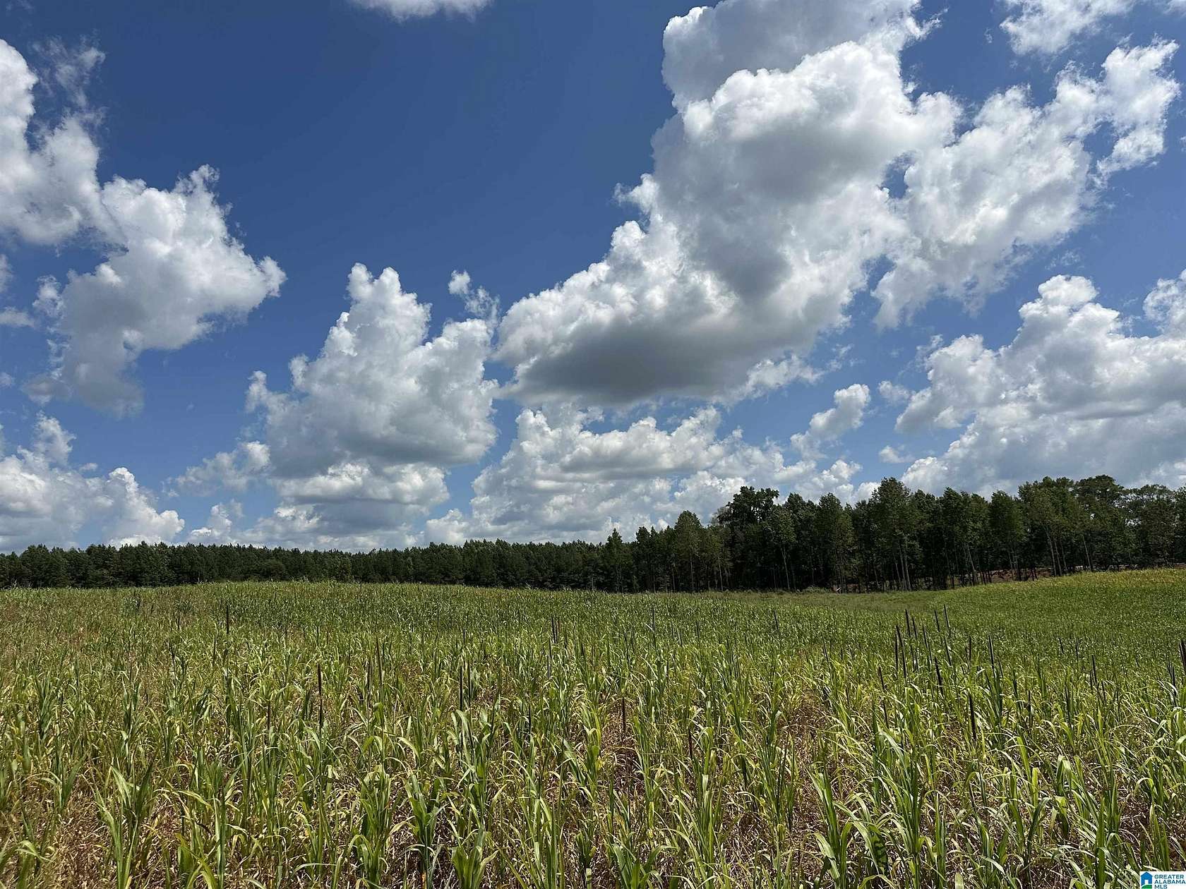 50 Acres of Land for Sale in Five Points, Alabama