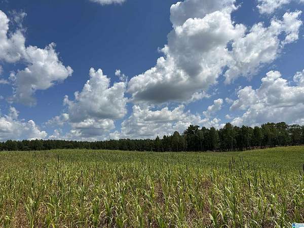 50 Acres of Land for Sale in Five Points, Alabama