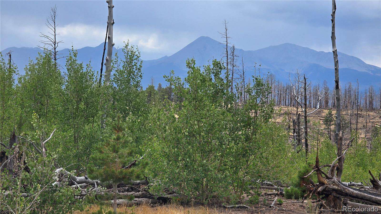 1.38 Acres of Residential Land for Sale in Fort Garland, Colorado