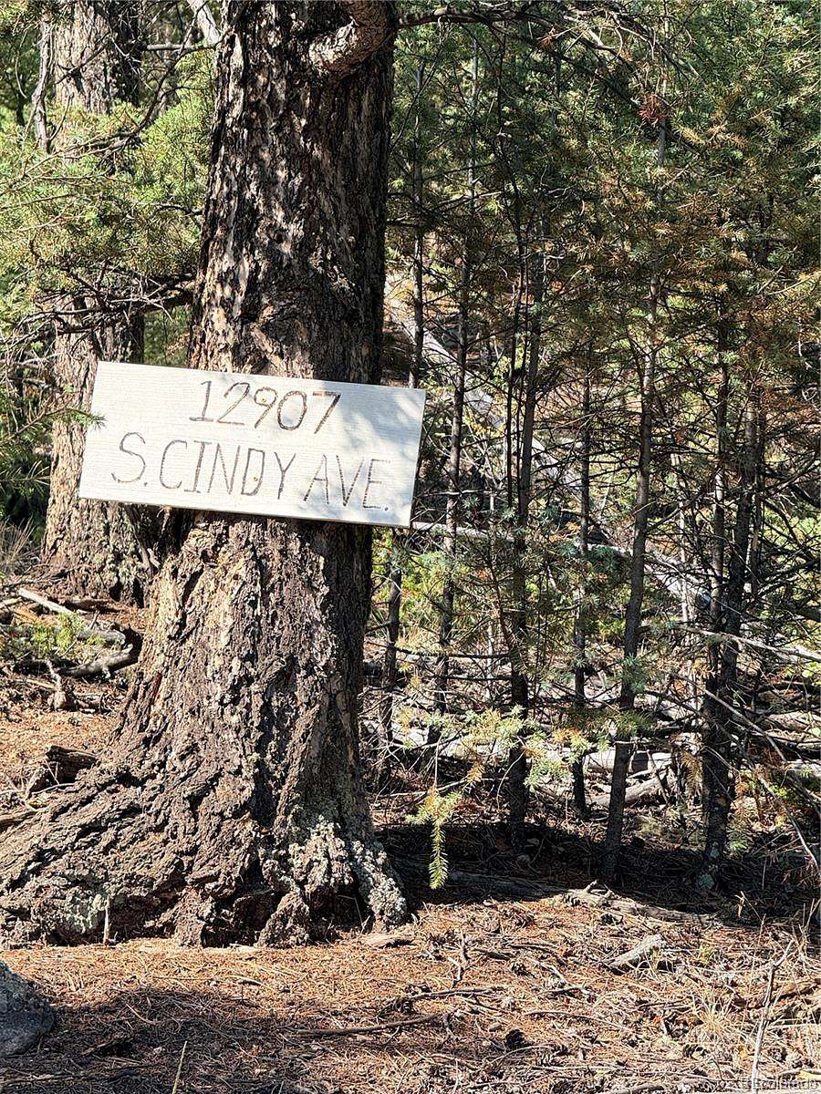 1.6 Acres of Land for Sale in Pine Grove, Colorado